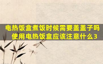电热饭盒煮饭时候需要盖盖子吗 使用电热饭盒应该注意什么3